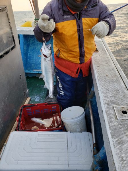 芳陽丸 釣果