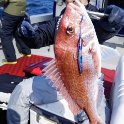 光生丸 釣果