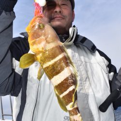 渡船屋たにぐち 釣果