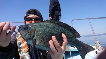 シースナイパー海龍 釣果