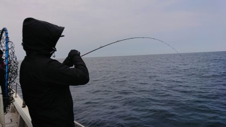 鷹王丸 釣果