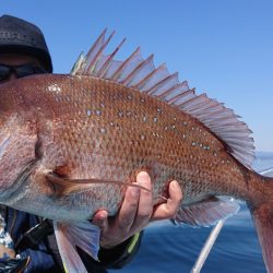 シースナイパー海龍 釣果