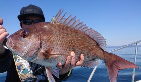 シースナイパー海龍 釣果