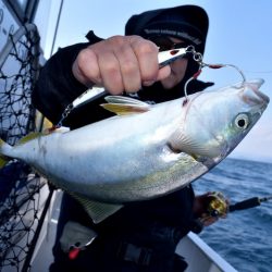 渡船屋たにぐち 釣果