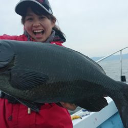 シースナイパー海龍 釣果