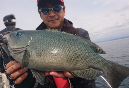 シースナイパー海龍 釣果