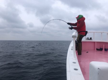 山正丸 釣果