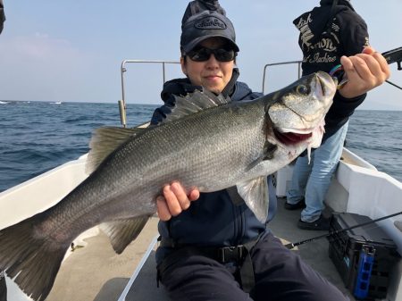 Seasonal 釣果