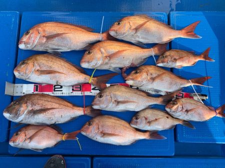 釣鯛洋 釣果