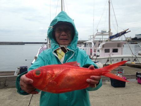 晃山丸 釣果