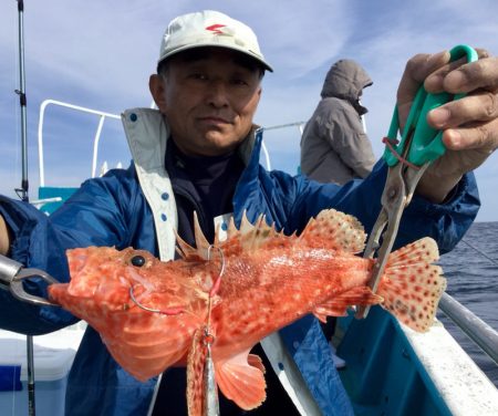 阿波哲 釣果