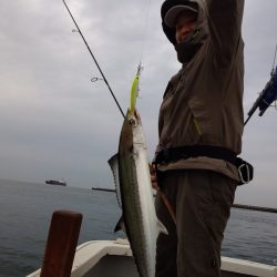 ひな丸 釣果