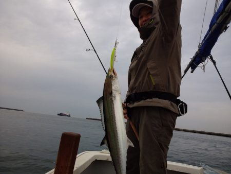 ひな丸 釣果