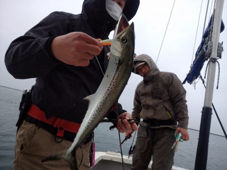 ひな丸 釣果