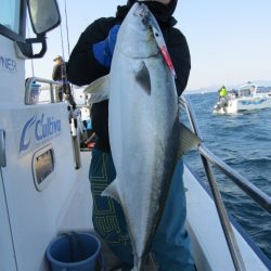 ジギング船 BLUEWATER 釣果