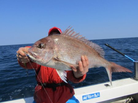 ジギング船 BLUEWATER 釣果