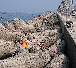 花見ガレイ、ガシラ釣り