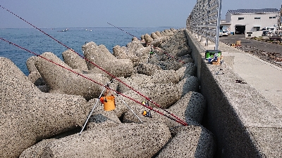 花見ガレイ、ガシラ釣り