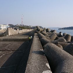 釣り部  釣行記  29