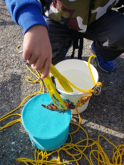 気持ちのいい天気