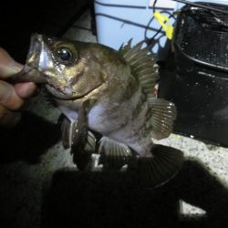 食いが渋い