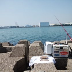 東二見水道へ落ちギス釣査