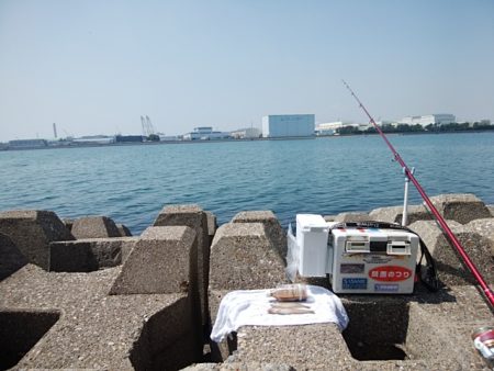 東二見水道へ落ちギス釣査