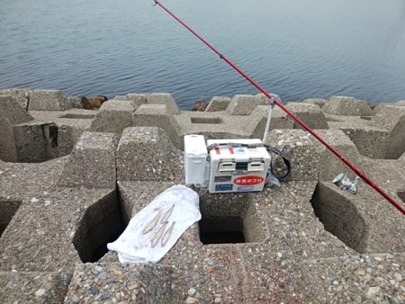 東二見水道西のキス情報