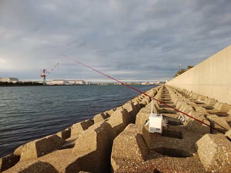 東二見水道のキス情報