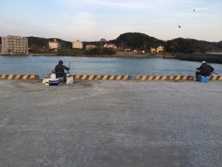 サビキ釣り客はまだまだ多い