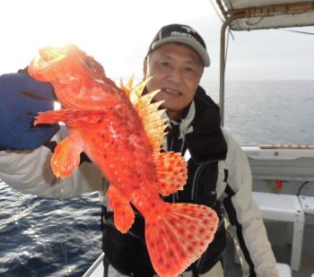 根魚釣り