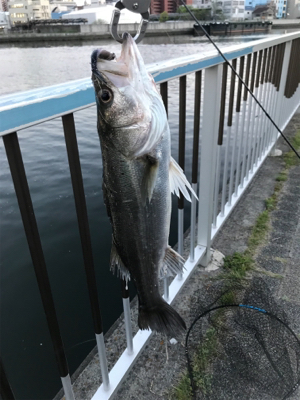 渋い中での