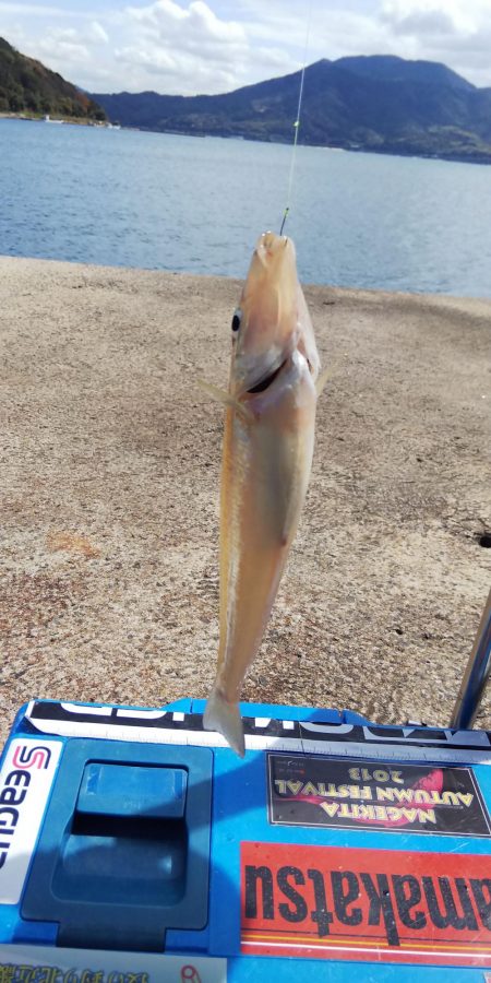 キス釣り