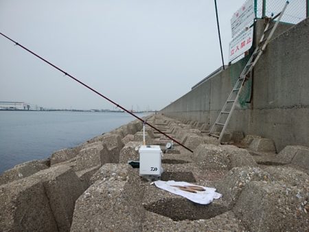 東二見水道西のキス情報