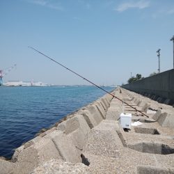 東二見水道へ落ちギス釣査