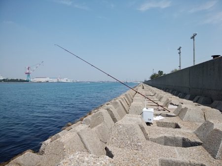 東二見水道へ落ちギス釣査