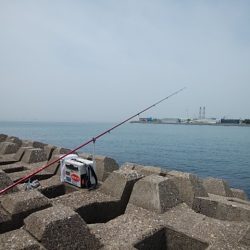 東二見水道西のキス情報