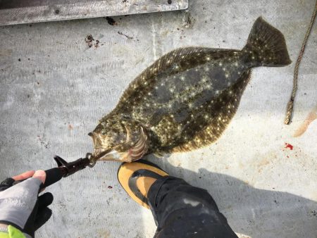 初日本海ジギング