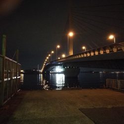 南港カモメ大橋 釣行 （GW3日目～ 小キビレチヌ,根魚の釣果有り）