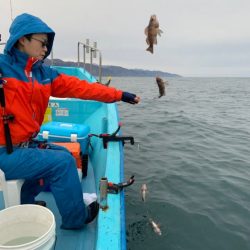 宝昌丸 釣果