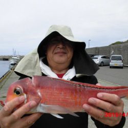 大進丸（新潟） 釣果