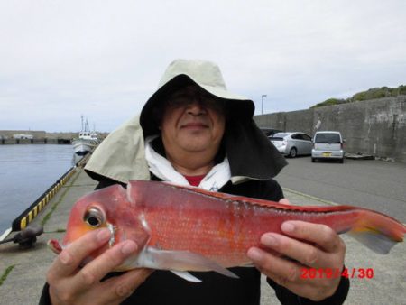 大進丸（新潟） 釣果