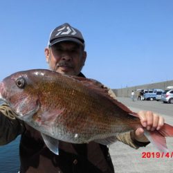 大進丸（新潟） 釣果