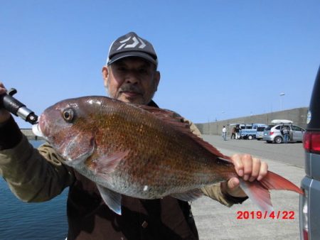 大進丸（新潟） 釣果