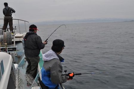 八海丸 釣果