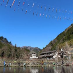 小菅トラウトガーデン 釣果