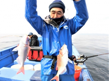 鯛紅丸 釣果