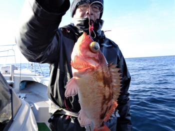 鯛紅丸 釣果