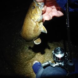 平成最後の釣りで…