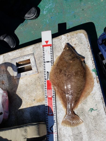 芳陽丸 釣果